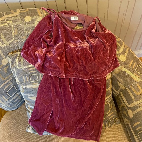 Tobi Velvet Dress - Picture 1 of 3